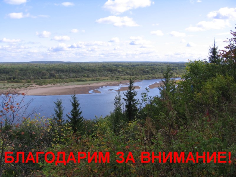 БЛАГОДАРИМ ЗА ВНИМАНИЕ!